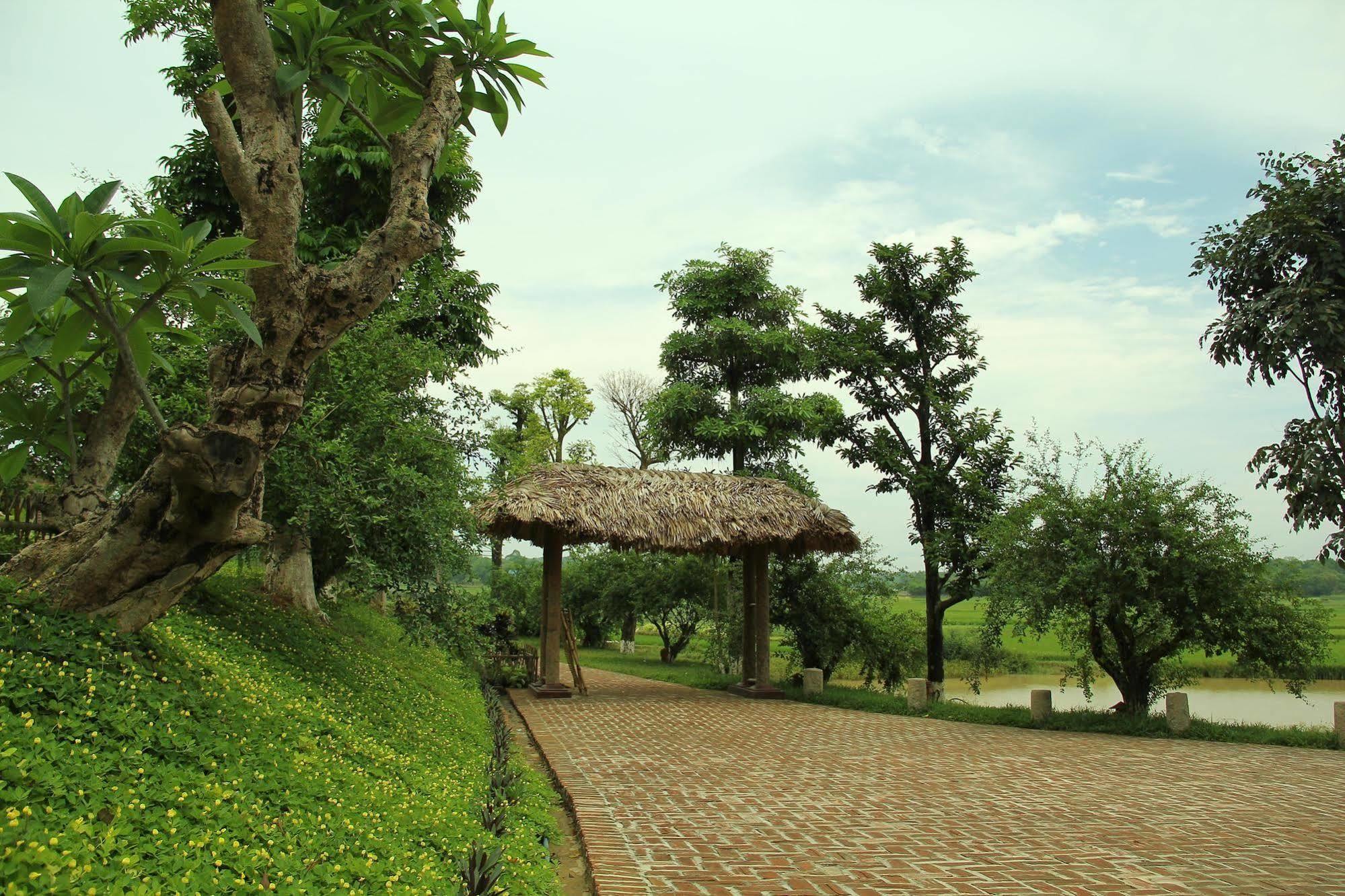 Moon Garden Homestay Son Tay Ngoại thất bức ảnh