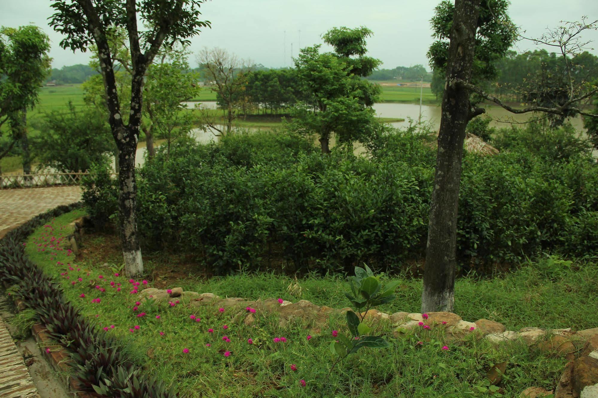 Moon Garden Homestay Son Tay Ngoại thất bức ảnh